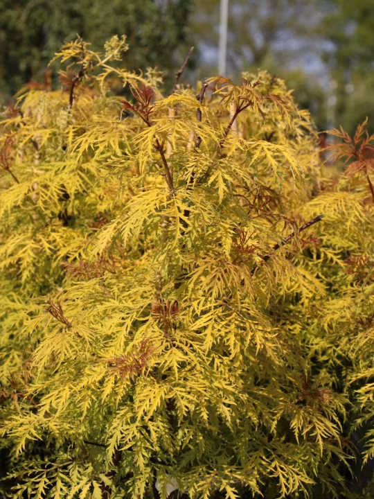 f5b5ebdb33a8f1e35565407f6e267c3e