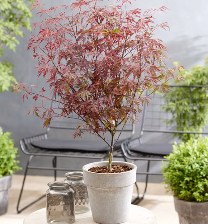 f5b62c75b51c9f85e5b7827b8204dc0d