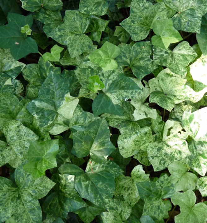 f5c5ebf480ae68d5d78e5f7098b57c69