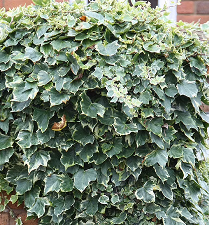 f5e927e1d187d82093c50a791bf7e233