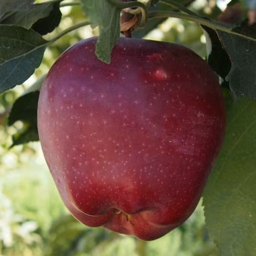 f5f79afea4b6d8c030e9fb6abfa2c599