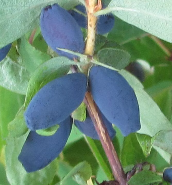 f5fb1f249e1b0ade8fdbe3e23b263a0e