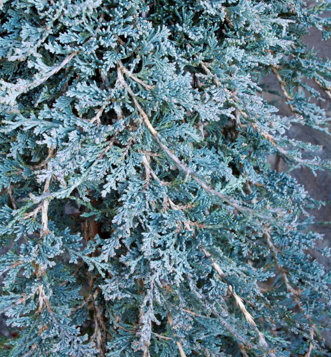 f635f4cf670a9fa50e6afef2242ba3b4