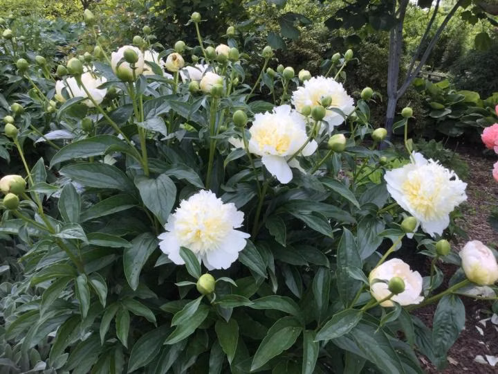 f649baf6d1905be786276a1baf9f8f90