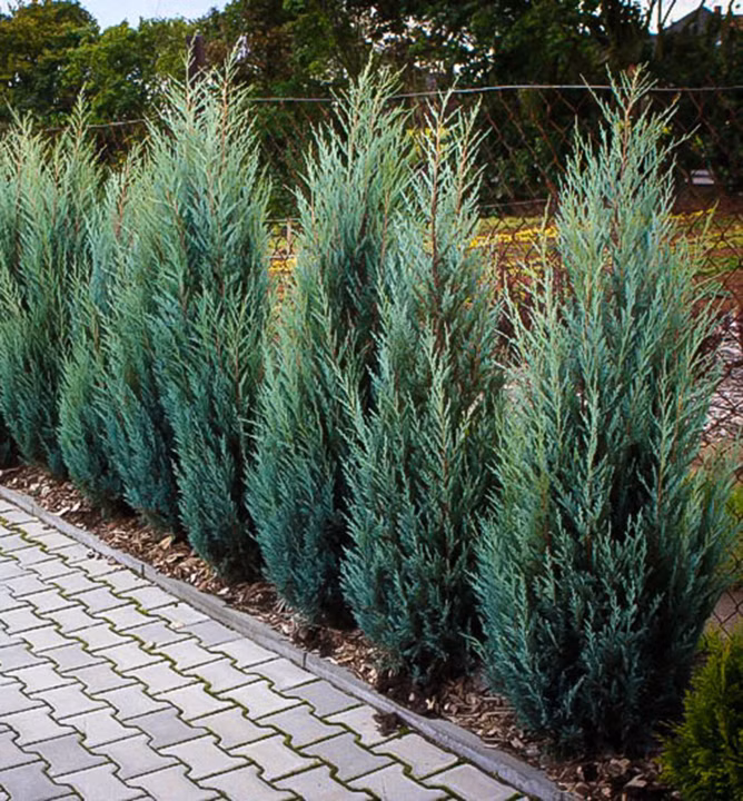 f65f0f7ee91c19a4ac48b85493b826cf