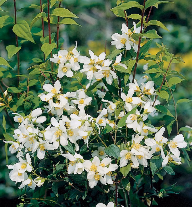 f6a5283a88f631b43632a839a14e00ab