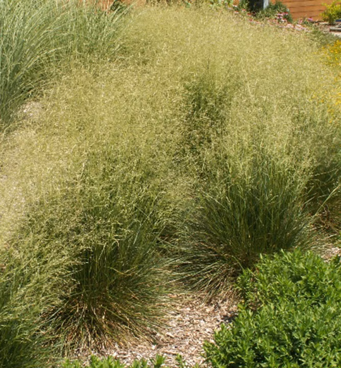 f6cd169658b12f0fca5fc76460e85370