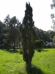 f71bd99c05465b130604dcf0f7147f12