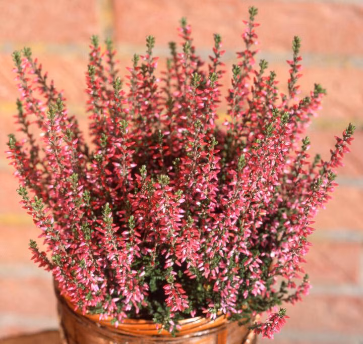 f74479002e5c5bdd6b42156cbe349d1c