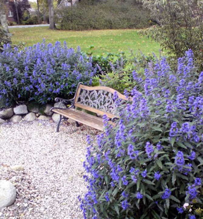 f7639154b0baad3077154b5f344f1449