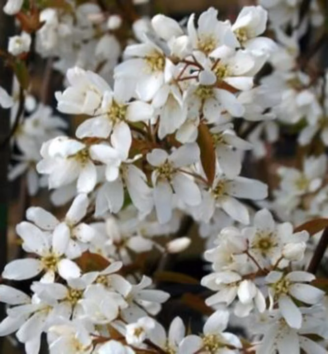 f789e1b5c2262f7752a039c37ee0c81e