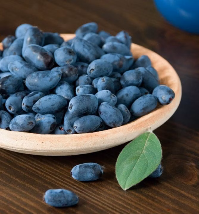 f7a85fae069e43d9863c69fdbf863654