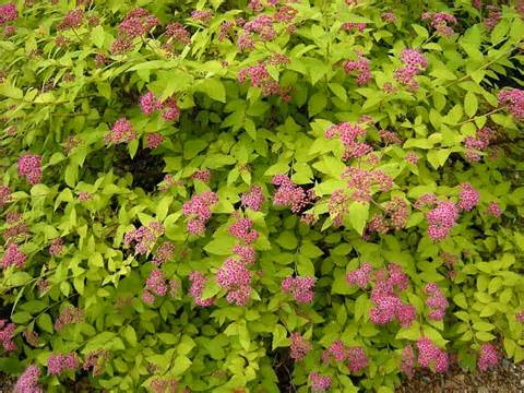 f7aa79204139983f4c95cf5bf5f9250b