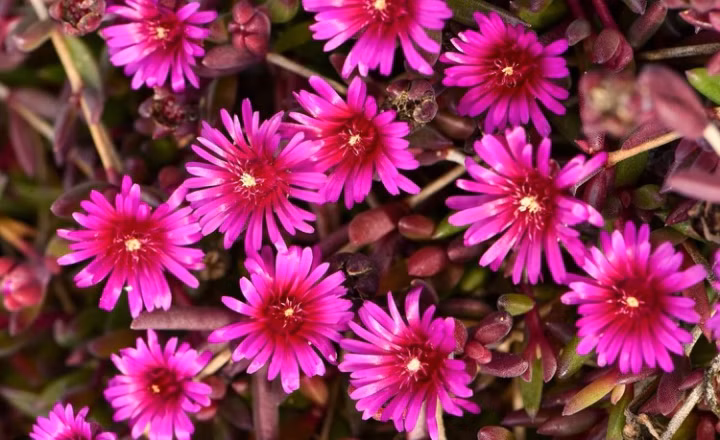 f81401832f1ef5554655c008a8b02b3a