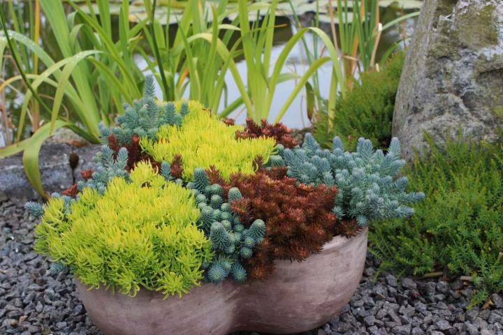 f832952cc038712b198130eb0668bdd2