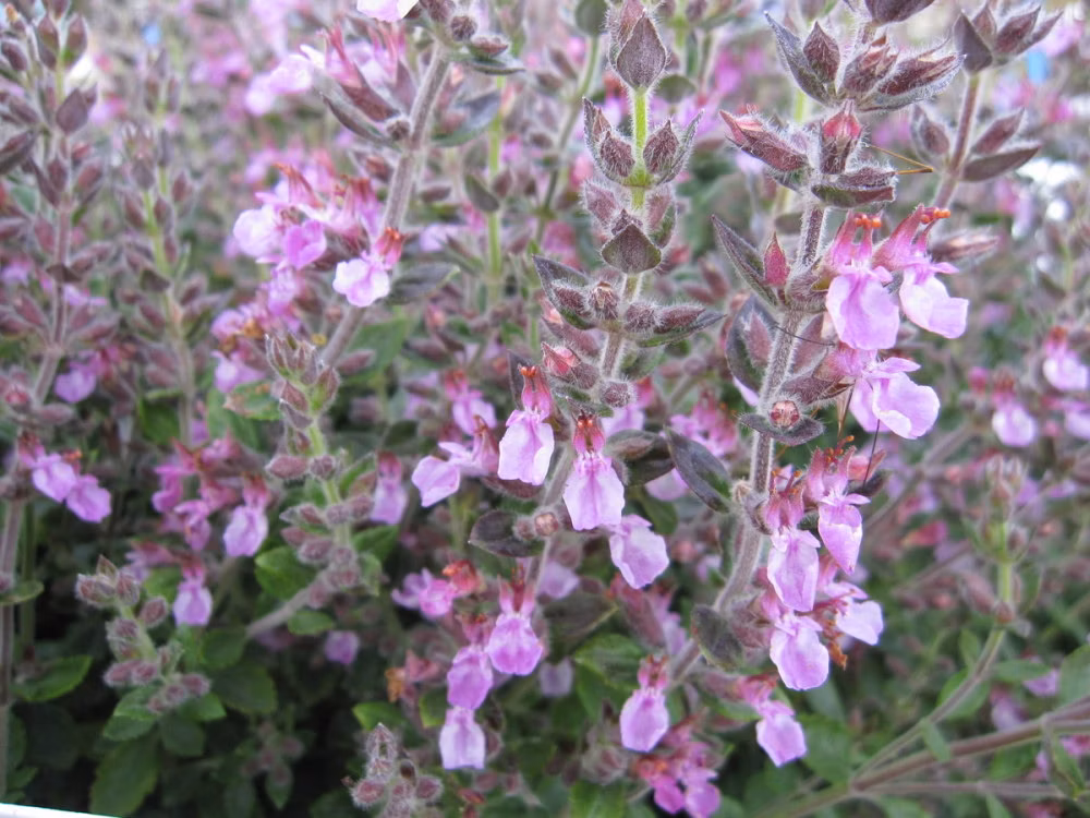 f83da48ddacd9aae71d285c505f5aee5