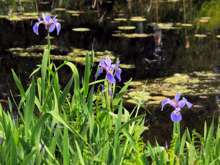 f8604426cd808a9a9bd6ac9f43460f2b