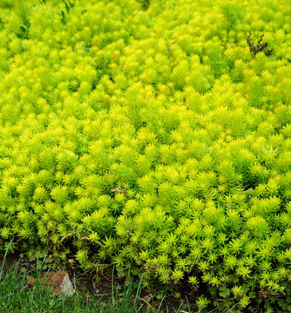 f8bd14cd3d32cc6e28a61bdad94fa5df