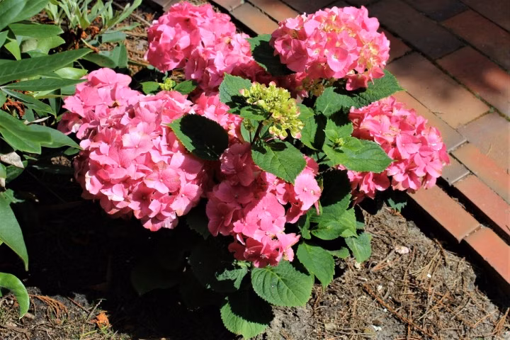 f8c8181a47e206c35dac56e88e566f64