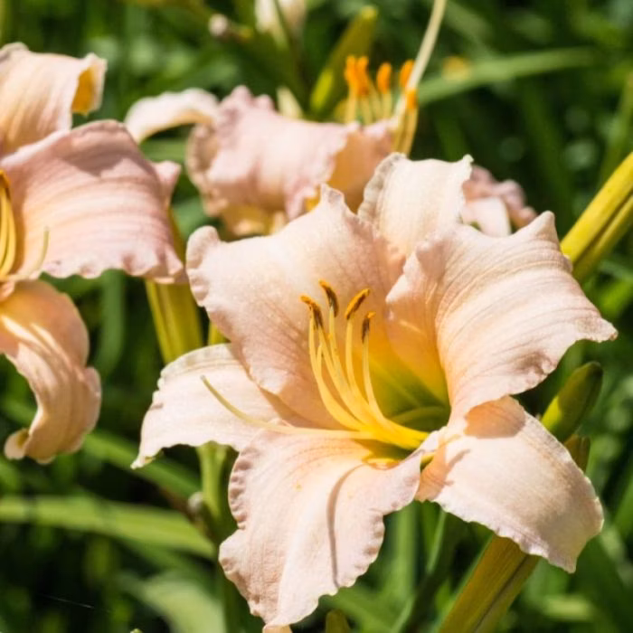 f8c93184fad91263ec66c603bb80a7bf