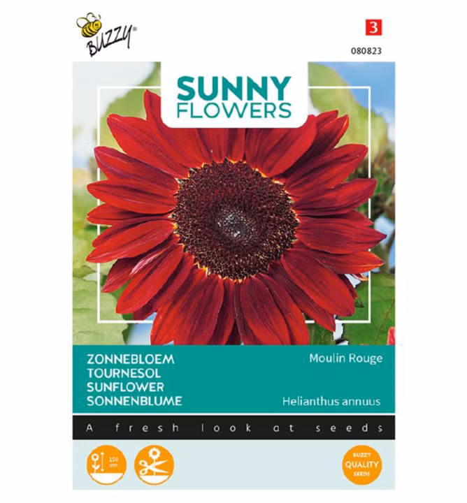 f8dcc937fdd95efe046fac1e55af8aa3