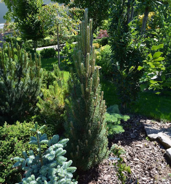 f8df87dd480623442b3dc24ebc677e88