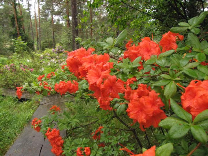 f96db9dd50ac228a2db4ddbf8b4f2ec3