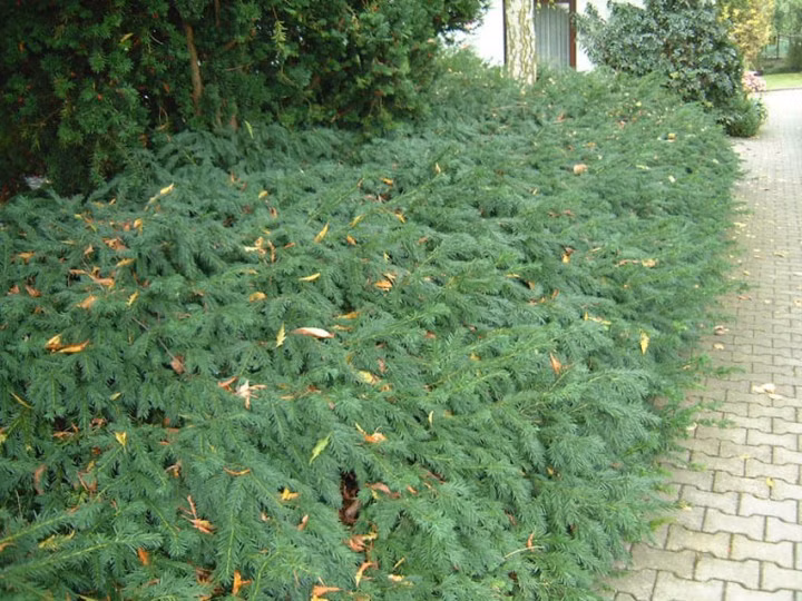 f985bbf36615d14609890514fb1b07ab