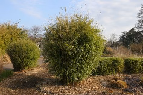 f98fcdb9a3670af6fb0f219443128385