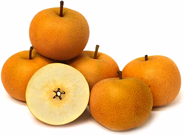 f9a166afd594f32de1c9afc0b9d3d5b1