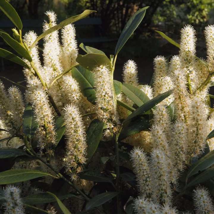 f9a584633a17209ff179a0fa7c109626