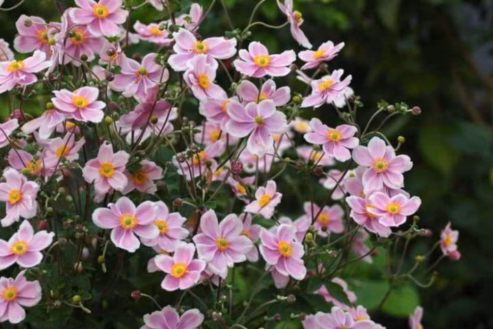 f9f293557528b3cee23641afb516851b