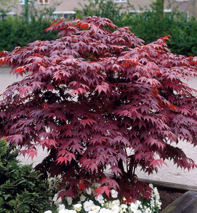 fa46bc1ce490e450248558d0abe52f40