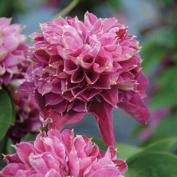 fa48cc59bc4eb5e346944b857d4232a6