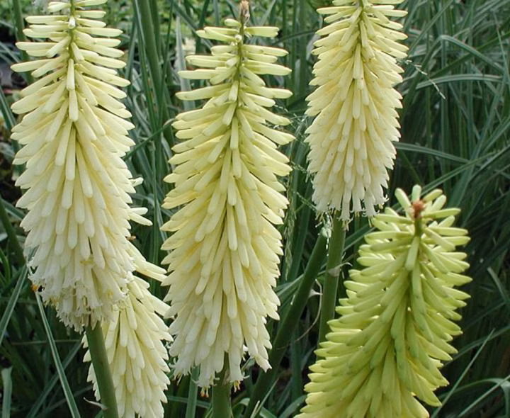 fa76f07e89fc801a16b2f22ff4456697