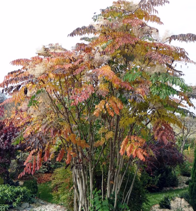 fa7c965c5b16e8a5331b6420da257f5b