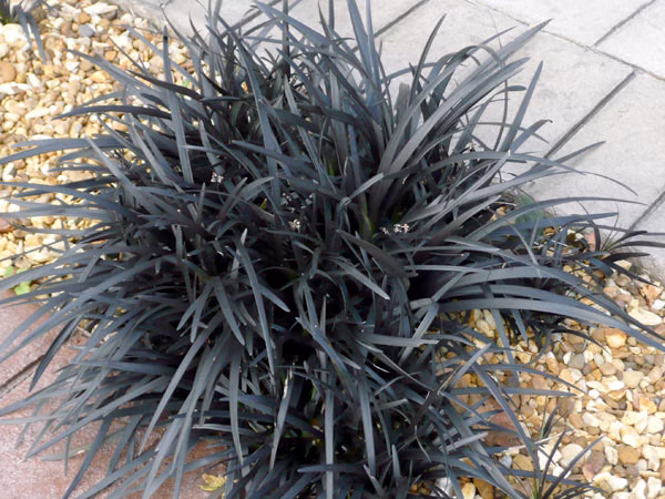 fa854fc71830c9c613c36e41ceb227c5