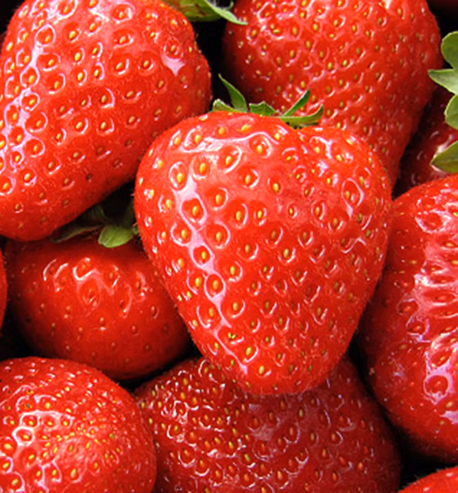 faa94d4120b9548004255972eb70806c