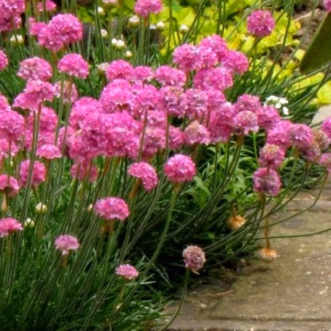 fad5d783dcafbdff11adf50f50050dc4