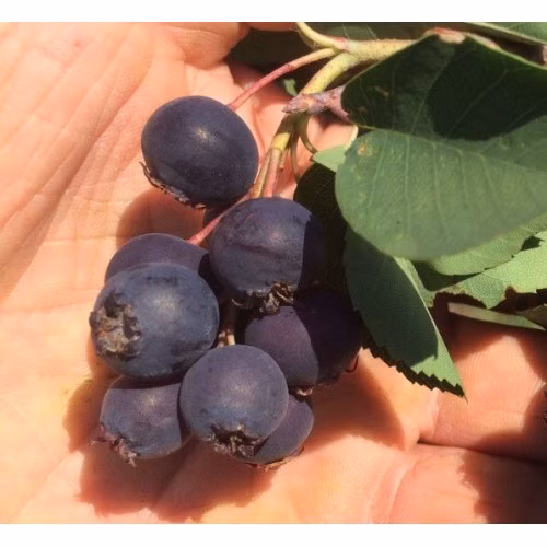 faf378f6a2e6b35c7488e49372ee94d1