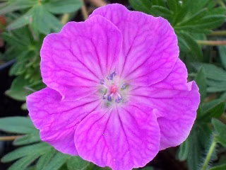 fb07521de15f238934df8e688456ad05