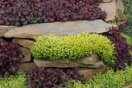 fb127f570bce89c2083bfb750caf66ce