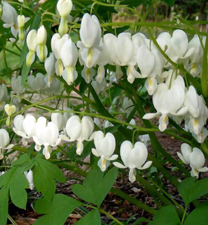 fb295f798d63c2c51ef7fee6683bfd6a