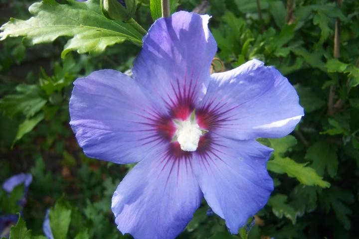 fb393c824fc124ec4d5c01eb02a1d447