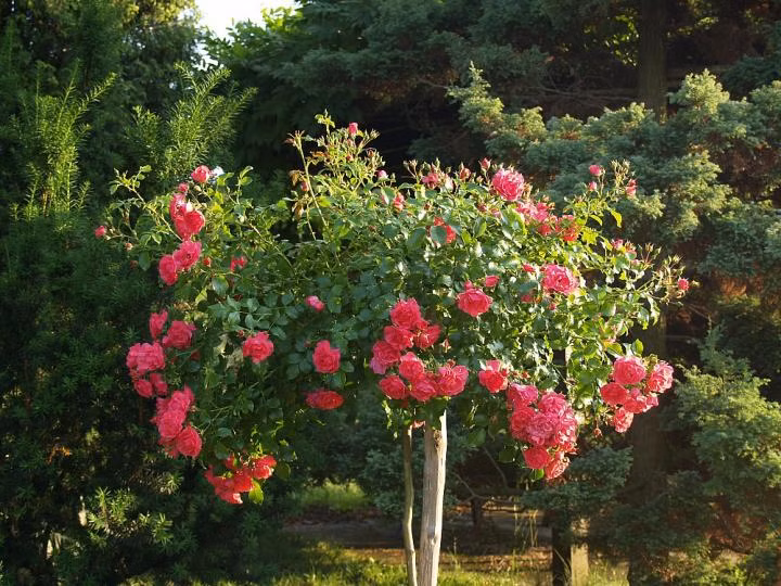 fb99d6591d2fc7e8029a855d15cc1fa9