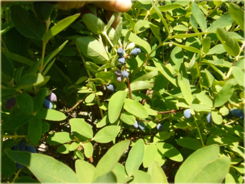 fbb8c134ed7998c053fc5e71fb0a5c4a