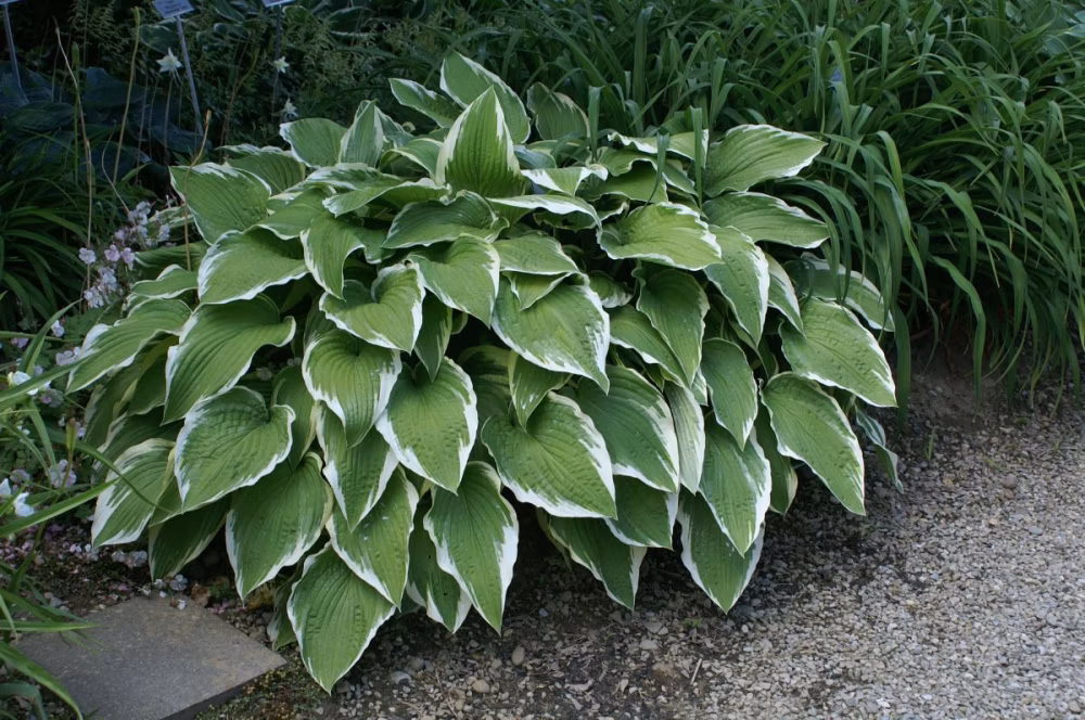 fbfe3fb8655b606e2a9544b97876fa70