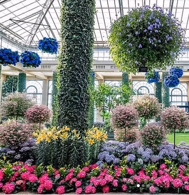 fc02dde9f9c6373b2aa7163adac2804e