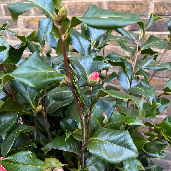 fc1bab564e00cb49e34e53e01c9cc789