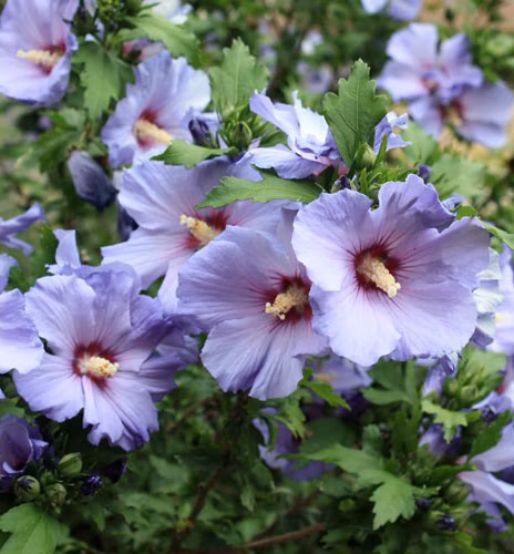 fc4f03c19c9604d8104e864be0fe9604